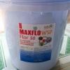 MAXFLO WSP - FLOR 50 Đặc trị hen suyễn, viêm phổi, sốt đỏ, bỏ ăn không rõ nguyên nhân